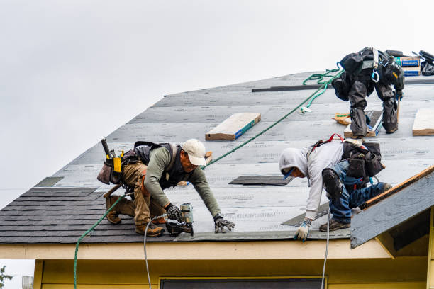 Professional Gutter Installation technician working in Randolph, NE